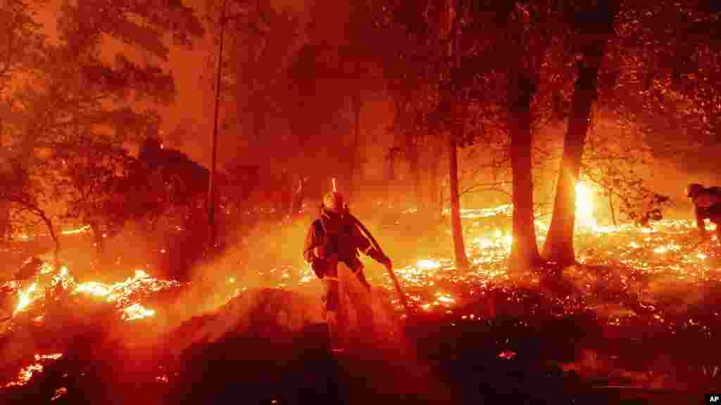 ساحه مدیرا ایالت کالیفورنیا&nbsp;