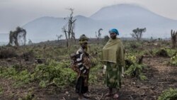 RDC : reprise des combats entre l'armée et le M23