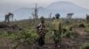 Dans l'est de la RDC, déplacés de guerre, miliciens et déforestation