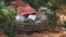 Damaged cars are seen amongst the debris during a rescue and evacuation operation following a landslide at a campsite in Batang Kali, Selangor, Malaysia, Dec. 17, 2022.
