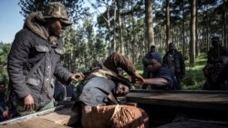 Sango ya Mokili Lelo: Mangomba ya ba Maï Maï bazali kobunda na Butembo