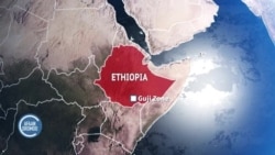 Aanaa Gooroo Doolaa Keessatti Barattoonni Hidhaman, Jedhame