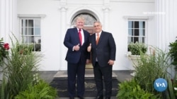 Xalqaro hayot - 5-avgust, 2022-yil