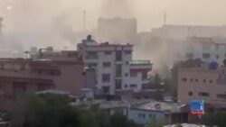 کربی: امریکا ثابت کرد که افغانستان 'پناهگاه امن تروریستان' نیست