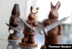 Kelinci Paskah cokelat memegang jarum suntik.