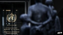 Pintu masuk kantor pusat Organisasi Kesehatan Dunia (WHO) di Jenewa, 17 Agustus 2020. (Foto: dok).