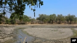 FILE - A sun baked pool that used to be a perennial water supply is seen in Mana Pools National Park, Zimbabwe on Oct. 27, 2019. Malawi has declared a state of disaster over drought in 23 of its 28 districts.