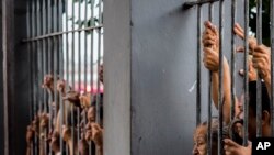 Des prisonniers de Desembargador, Manaus, 8 janvier 2017