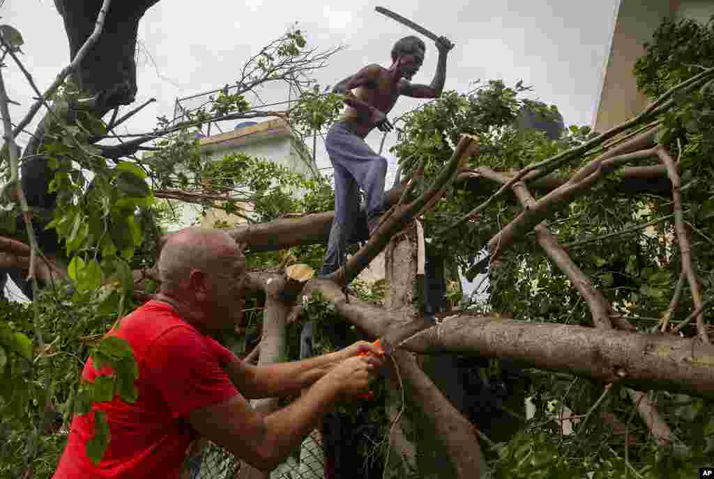 Residents cut away tree branches felled by Hurricane Ian in Havana, Cuba, Sept. 28, 2022. 