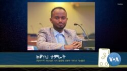 ወጣቶችን በበጎ ለማስተሳሰር ስለተጋው መረብ በጥቂቱ 