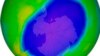 Ozone Hole Grows This Year but Still Shrinking in General 