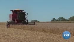 Ukraine War Helping, Hurting US Farmers