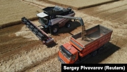 La Somalie et le Burkina Faso sont les premiers destinataires du blé envoyé par Moscou à l'Afrique.