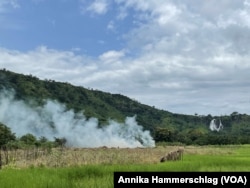 Practices such as slash and burn agriculture are destructive to the environment.