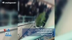 شعار «آخوند باید گم بشه» در اعتراض دانش‌آموزان دختر یک مدرسه در شیراز