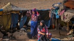 Financement de la lutte contre la pauvreté et le réchauffement climatique : l'analyse d'Ibrahim Aidara