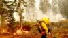 Trump, Biden Differ on Approach to Western Wildfires
