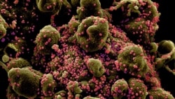 ክፍል አንድ - አገርም እንደ ሰው