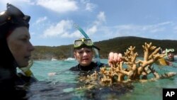 FILE - Australian Senator Pauline Hanson listens to marine scientist Alison Jones (left) as she displays a piece of coral on the Great Barrier Reef off Great Keppel Island, Queensland, Australia, Nov. 25, 2016. Australian scientists say warming oceans year 2016 have caused the biggest die-off of corals ever recorded on Australia's Great Barrier Reef.