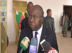 Geore Elanga Obam is Cameroon's Minister of Decentralization. (M. Kindzeka/VOA)