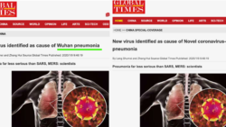 官媒《环球时报》英文版删改标题中的“武汉肺炎” （网络截图）
