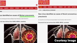 官媒《环球时报》英文版删改标题中的“武汉肺炎” （网络截图）