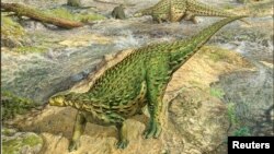 A life reconstruction of the Jurassic Period dinosaur Scelidosaurus, which lived roughly 193 million years ago, is seen in this artist's rendition released by the University of Cambridge August 27, 2020. (John Sibbick/Handout via REUTERS)