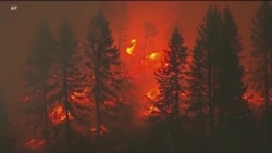 科学家称气候暖化导致美西野火恶化