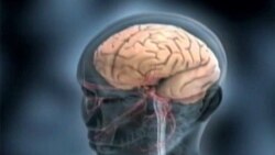 کشف ارتباط بین امواج مغزی و پیش بینی حرکات انسان