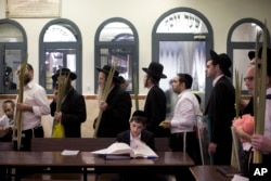 Ultra-Orthodox Jews wait in line to check palm fronds to determine if they are ritually acceptable as one of the four items used as a symbol on the Jewish holiday of Sukkot in Jerusalem, Sept. 24, 2015.