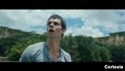 THE MAZE RUNNER