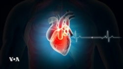 វិទ្យុពេលរាត្រី ១៥ មីនា៖ កម្មវិធី ​Hello VOA សុខភាព ស្ដី​អំពី​វិធី​បង្ការ​ជំងឺ​សរសៃ​ឈាម​បេះដូង