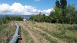 ილია ბერუაშვილი დიცში