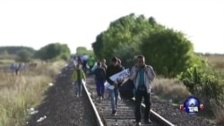 大批中东难民继续涌入欧洲