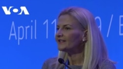 Miščević o izborima za Evropski parlament