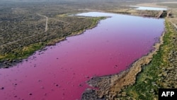 An aerial view shows a lagoon that turned pink due to a chemical used to help prawn conservation in fishing factories, near Trelew, in the Patagonian province of Chubut, Argentina, July 23, 2021.