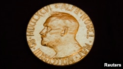 جایزۀ نوبل شامل یک مدال طلا، دیپلوم و مبلغ ۹۶۰ هزار دالر پول نقد است.