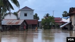 លំនៅដ្ឋាន​រងការ​លិចលង់​ដោយ​សារ​ទំនប់​អាង​ទឹក​ឈ្មោះ​ទំនប់​​ប្រទាក់​ក្រឡា​ ក្នុង​ឃុំ​កូនសត្វ​ ស្រុក​ទឹក​ឈូ​ ខេត្ត​កំពត​ បាន​បាក់​ ក្រោយ​ភ្លៀង​​ធ្លាក់​ជាប់ៗ​គ្នា​ប្រហែល​ពីរ​សប្តាហ៍​មក​នេះ។ (ហ៊ុល រស្មី/VOA)
