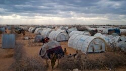 ኬንያ ስላሉ ስደተኞች ጉዳይ የመንግሥታቱ ድርጅት መልዕክት