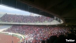 Traktor azarkeşləri