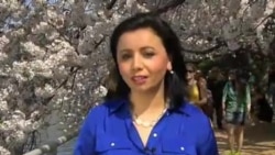 Markaziy Osiyo/O'zbekiston internetda/Sara Kendzior bilan suhbat