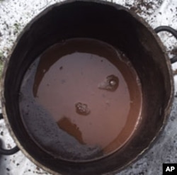 Pieces of the vine are pounded into a pulp and combined with several other plants, then brewed down for eight or more hours into a thick orange liquid.