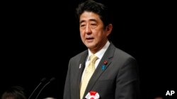 Japanese Prime Minister Shinzo Abe delivers his speech during a national rally marking the Northern Territories Day in Tokyo, Feb. 7, 2013.