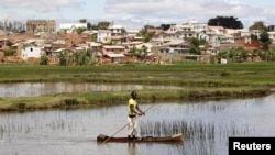 Wabah pes melanda negara pulau Madagaskar setiap tahun (foto: ilustrasi).