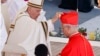 Pope Francis Creates 21 New Cardinals to Help Reform Church