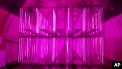 In this Aug. 9, 2018, photo, rows of illuminated grow spaces fill the tunnel-based vertical indoor farm NextOn in Okcheon, South Korea. (AP Photo/Han Myung Oh)