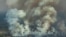 Aerial picture showing smoke billowing from a forest fire in the municipality of Candeias do Jamari in Rondonia State, on August 24, 2019.