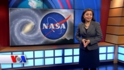 Ayollar, samoni zabt etishga tayyormisiz?