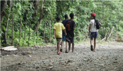 Several youths hike in the Darien Gap’s tropical forest in Panama, not far from the Colombian port town of Capurganá, June 25, 2021.