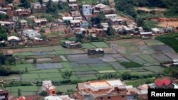 Des champs de riz paddy au milieu des maisons d'habitation à Antananarivo, Madagascar, 19 décembre 2013. REUTERS / Thomas Mukoya
